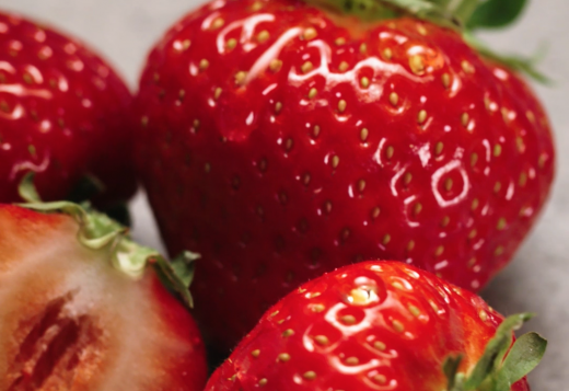 A seasonal sensation