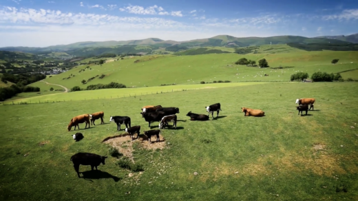 Waitrose & Partners | Agriculture Bill 2020
