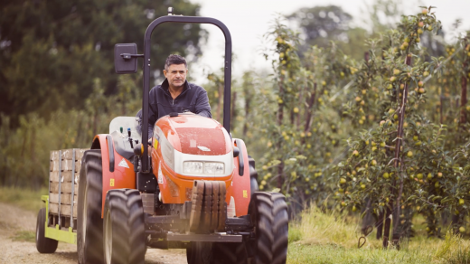 Meet the Makers | No.1 Suffolk Pink Apples